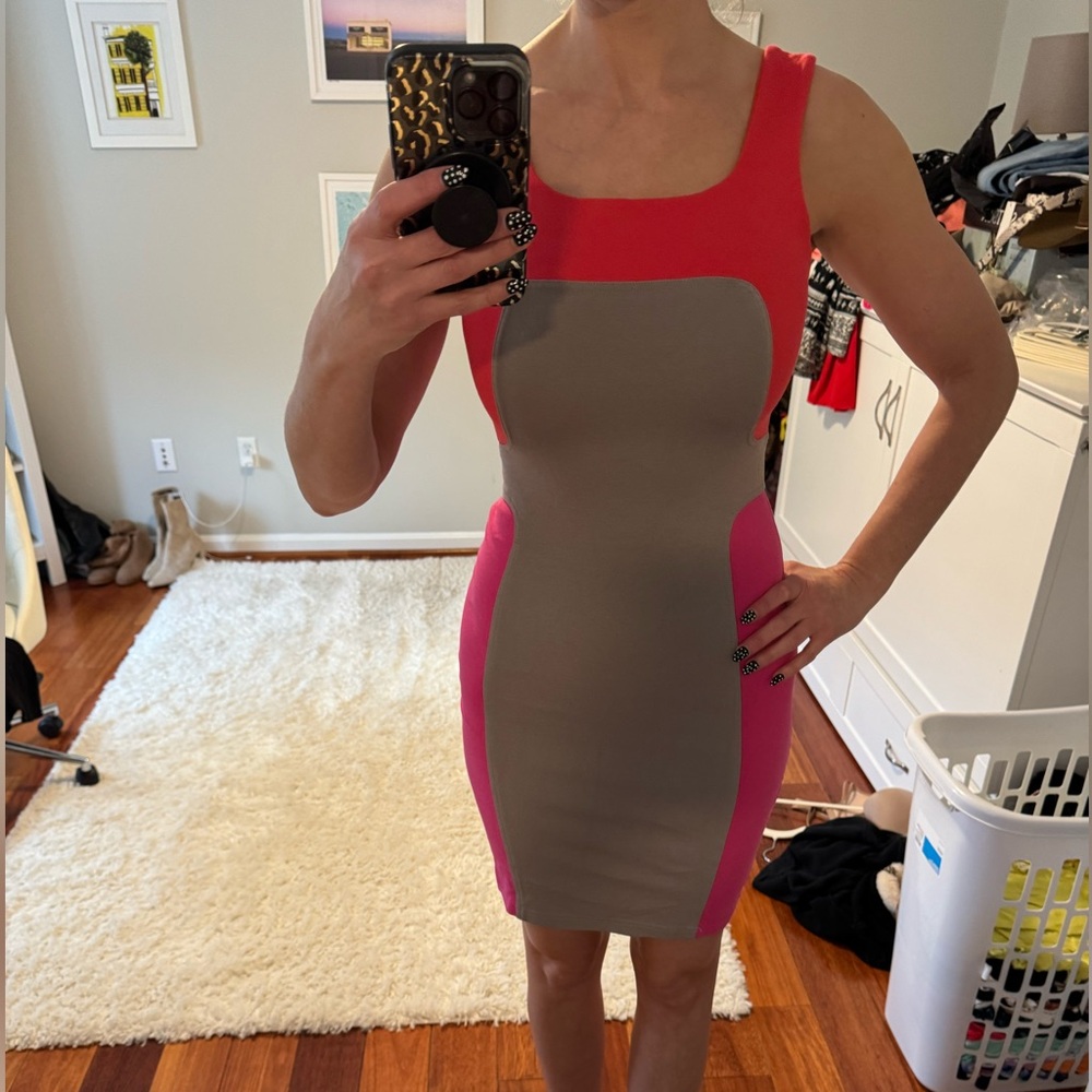 Yoanna Baraschi Stylish Pink and Gray Women's Dress